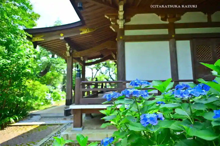 妙楽寺(神奈川県)