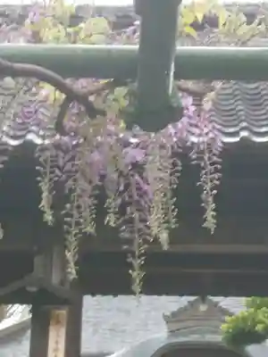 清宝院(東京都)