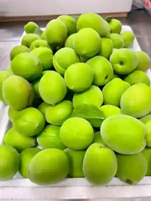 當光寺(東京都)