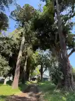 酒門神社(茨城県)