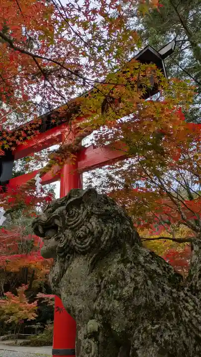 鍬山神社(京都府)