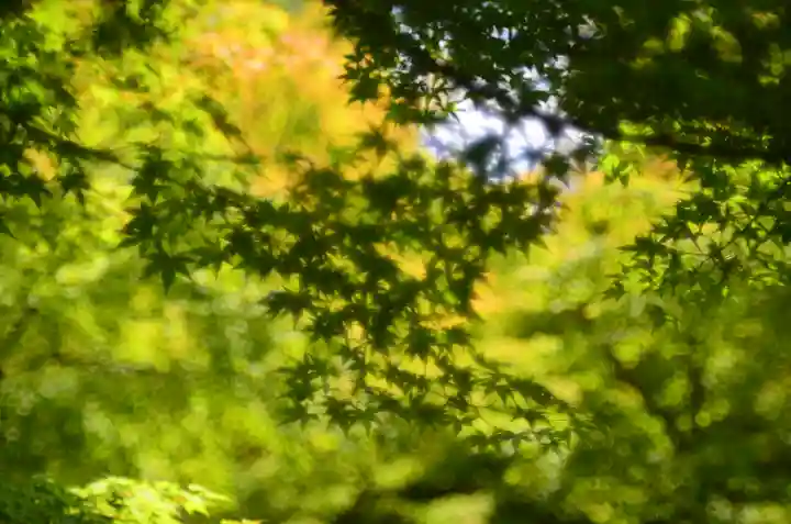 智積院(京都府)