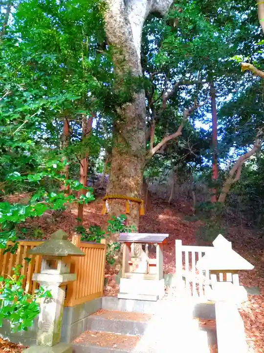白山神社の自然
