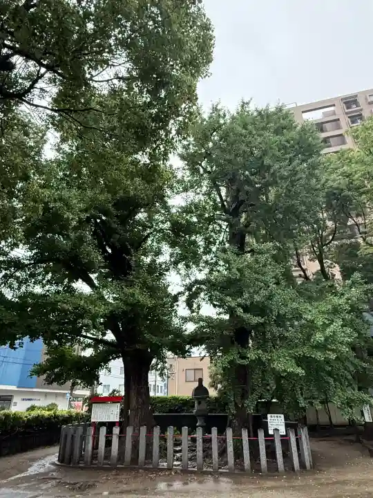 久留米宗社 日吉神社(福岡県)