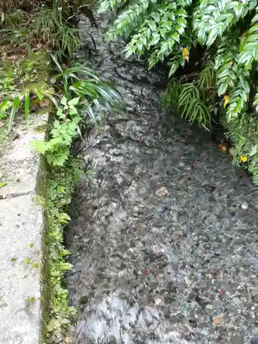 今市瀧尾神社(栃木県)