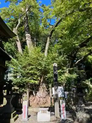 小室浅間神社(山梨県)