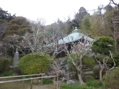 浄光明寺の自然