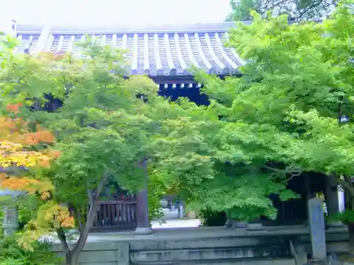 遍照院の山門・神門