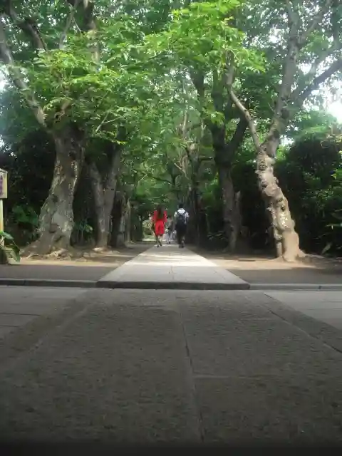 極楽寺(霊鷲山感應院極楽律寺)の周辺