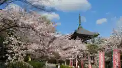 本法寺の自然