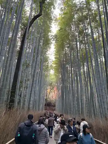野宮神社(京都府)