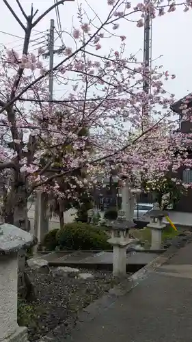 蓮経寺(滋賀県)
