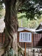 小國神社の自然