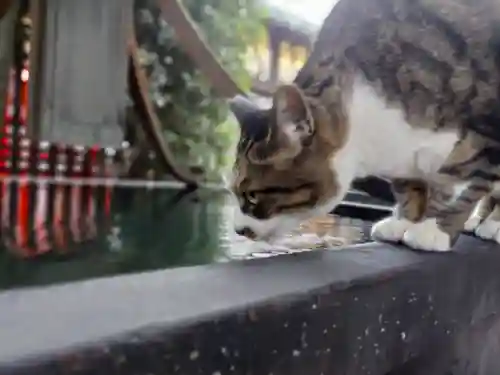 平等寺（因幡堂）(京都府)