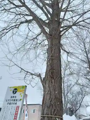 星置神社(北海道)