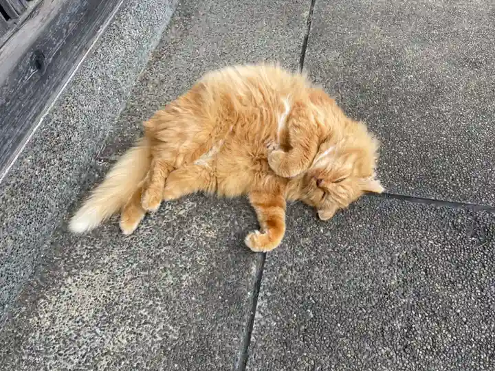 妙行寺(東京都)