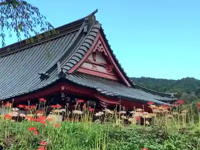 興徳寺(静岡県)