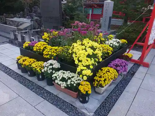 宮城縣護國神社の庭園