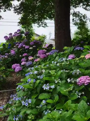 性海寺(愛知県)