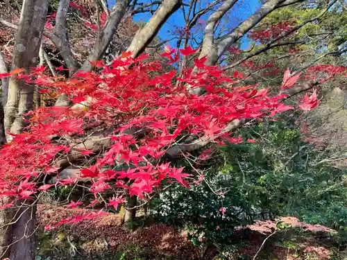 永源寺(滋賀県)