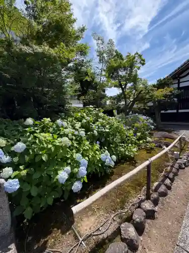 妙覺寺（妙覚寺）(京都府)
