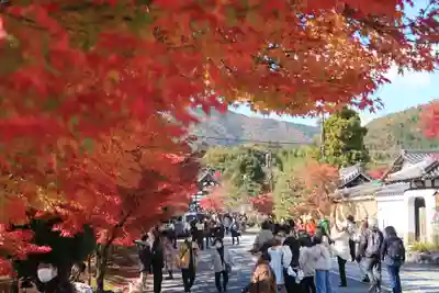 天龍寺(京都府)