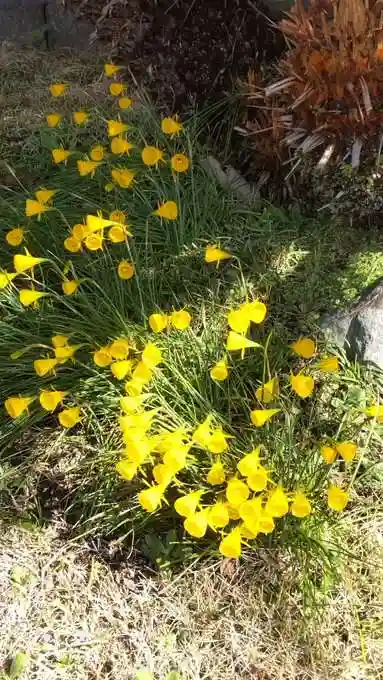 円通寺(神奈川県)