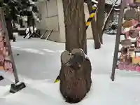 大谷地神社の自然