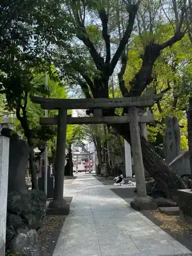 牛嶋神社(東京都)