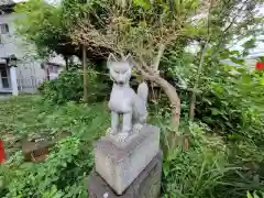 東山稲荷神社の狛犬