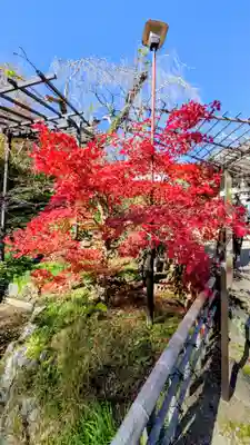 長谷寺(奈良県)
