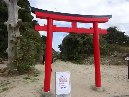 伊古奈比咩命神社の鳥居