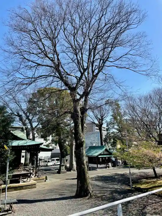 八幡神社の{uncategorized: "未分類", other: "その他", undefined: "問題あり", building: "その他建物", grave: "お墓", sacred_gate: "鳥居", guardian: "狛犬", statue: "像", buddha: "仏像", history: "歴史", nature: "自然", garden: "庭園", animal: "動物", pagoda: "塔", temizu: "手水舎", mountain_gate: "山門・神門", sanctuary: "本殿・本堂", subordinate: "末社・摂社", art: "芸術", scenery: "景色", jizo: "地蔵", ema: "絵馬", goshuin: "御朱印", omikuji: "おみくじ", items: "授与品その他", amulet: "お守り", goshuincho: "御朱印帳", eats: "食事", festival: "お祭り", votive_dance: "神楽", shichigosan: "七五三参", wedding: "結婚式", experience: "体験その他", initially: "初詣", around: "周辺", anti_infection: "感染症対策"}