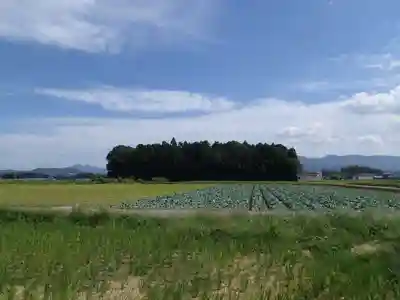 小社神社（皇大神宮末社）の自然