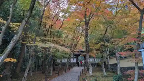 地蔵院(京都府)