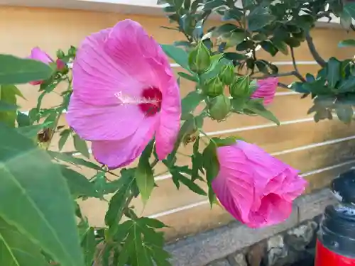 中山寺(兵庫県)