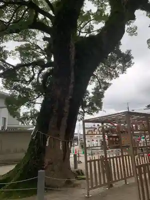 現人神社(福岡県)