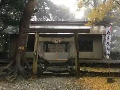 伊射波神社の鳥居