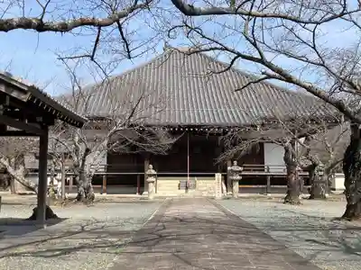 教信寺の本殿・本堂