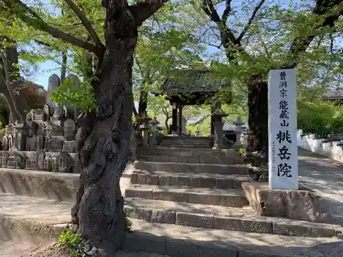 桃岳院の山門