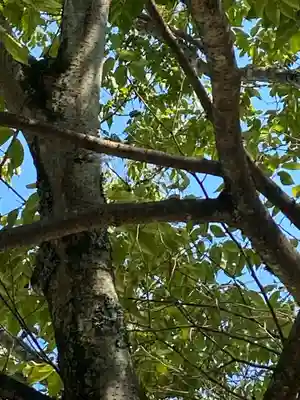 飯野八幡宮(福島県)