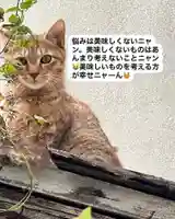 専念寺(大阪府)