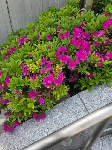 駒込妙義神社の{uncategorized: "未分類", other: "その他", undefined: "問題あり", building: "その他建物", grave: "お墓", sacred_gate: "鳥居", guardian: "狛犬", statue: "像", buddha: "仏像", history: "歴史", nature: "自然", garden: "庭園", animal: "動物", pagoda: "塔", temizu: "手水舎", mountain_gate: "山門・神門", sanctuary: "本殿・本堂", subordinate: "末社・摂社", art: "芸術", scenery: "景色", jizo: "地蔵", ema: "絵馬", goshuin: "御朱印", omikuji: "おみくじ", items: "授与品その他", amulet: "お守り", goshuincho: "御朱印帳", eats: "食事", festival: "お祭り", votive_dance: "神楽", shichigosan: "七五三参", wedding: "結婚式", experience: "体験その他", initially: "初詣", around: "周辺", anti_infection: "感染症対策"}