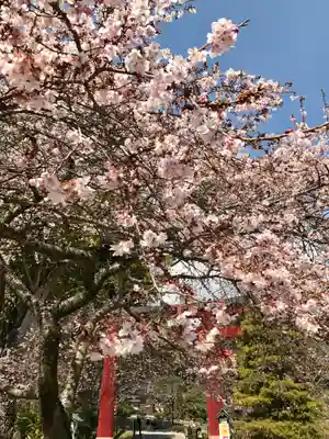 志波彦神社・鹽竈神社(宮城県)