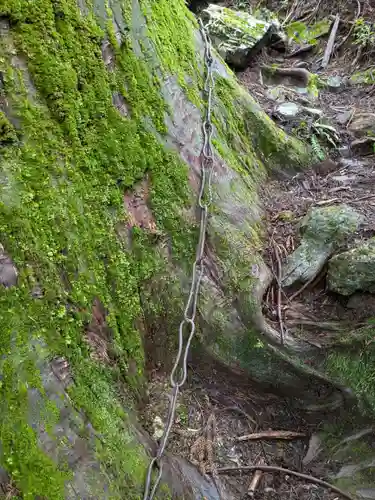 加蘇山神社 奥ノ宮の体験その他