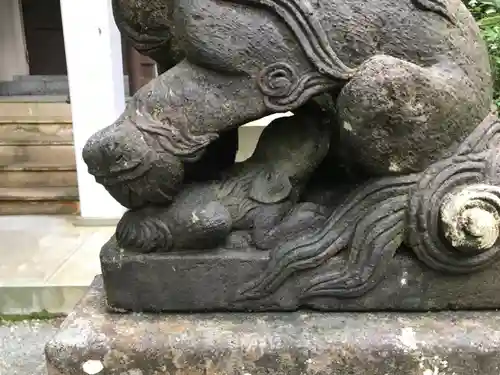 最乗寺（道了尊）の狛犬