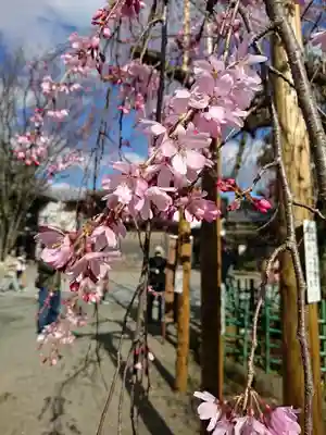 大國魂神社(東京都)