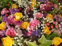 天王山 安楽寺(福井県)