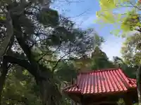 山神社の自然