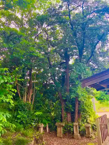 小坂熊野神社(茨城県)